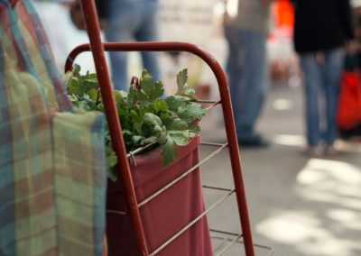 Carrito de las compras con verduras